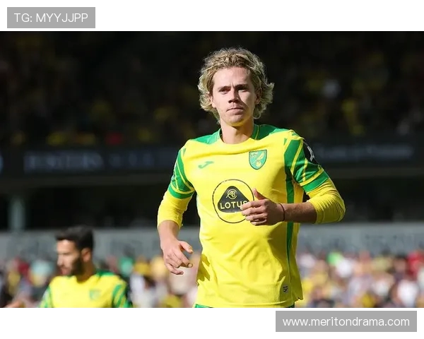 英超诺维奇主教练：诺里奇城主帅的执教经历与战术特点